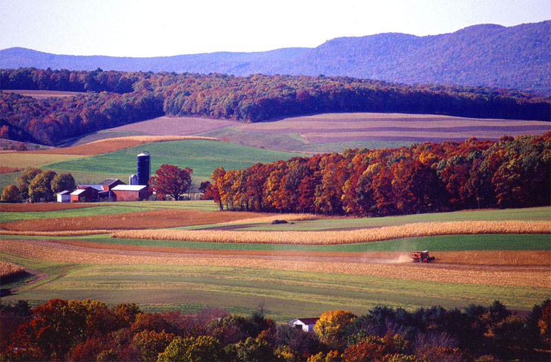 Idyllic Farm