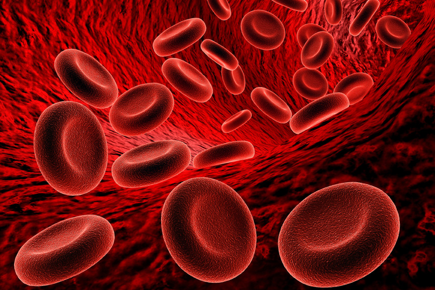 blood cells