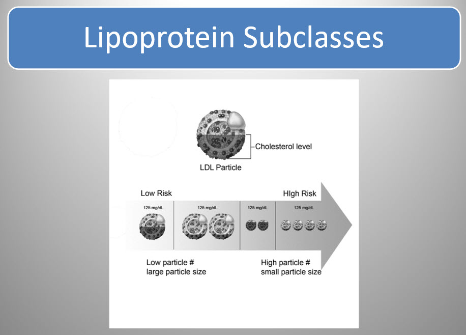 lipoprotein subclasses chart