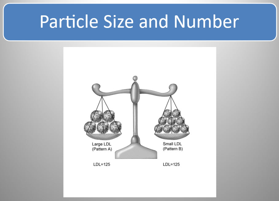 cholesterol particle size and number chart