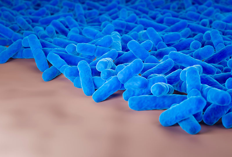 biofilm